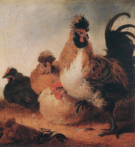 Aelbert Cuyp Rooster and Hens